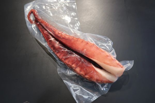 たこ 足 - Octopus Leg